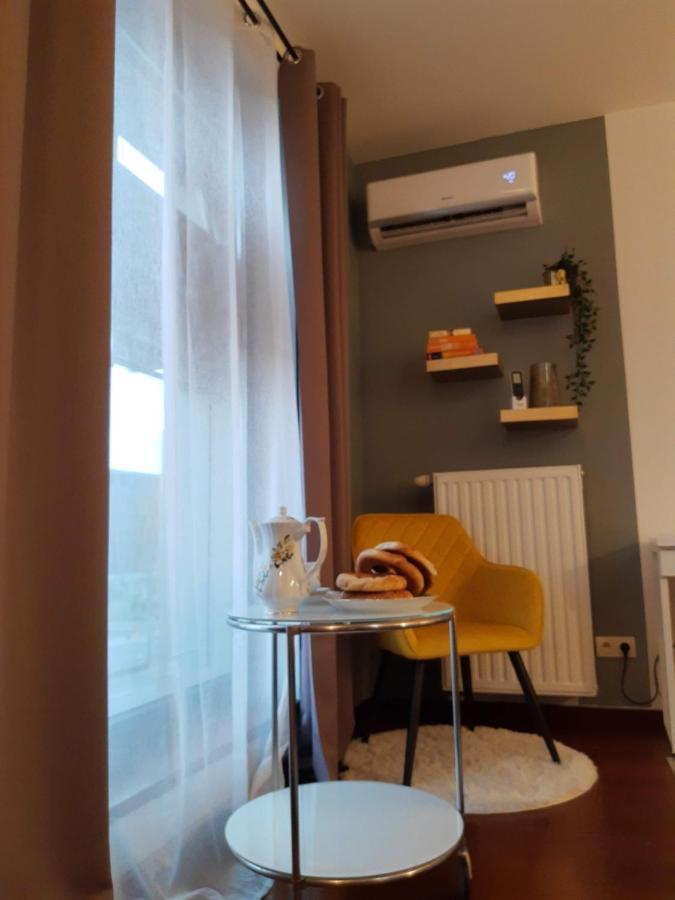Jm Apartment Old Town קרקוב מראה חיצוני תמונה